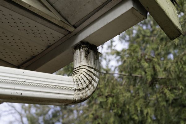 Cost of Roof Drain Replacement in Merritt Island