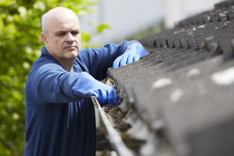 Professional Gutter Maintenance