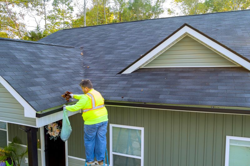 Residential Gutter Cleaning Process